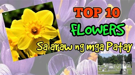 Mga Bulaklak ng Cempasúchitl para sa Araw ng mga Patay.